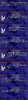 neko71.PNG